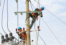 青豆全自動顆粒包裝機